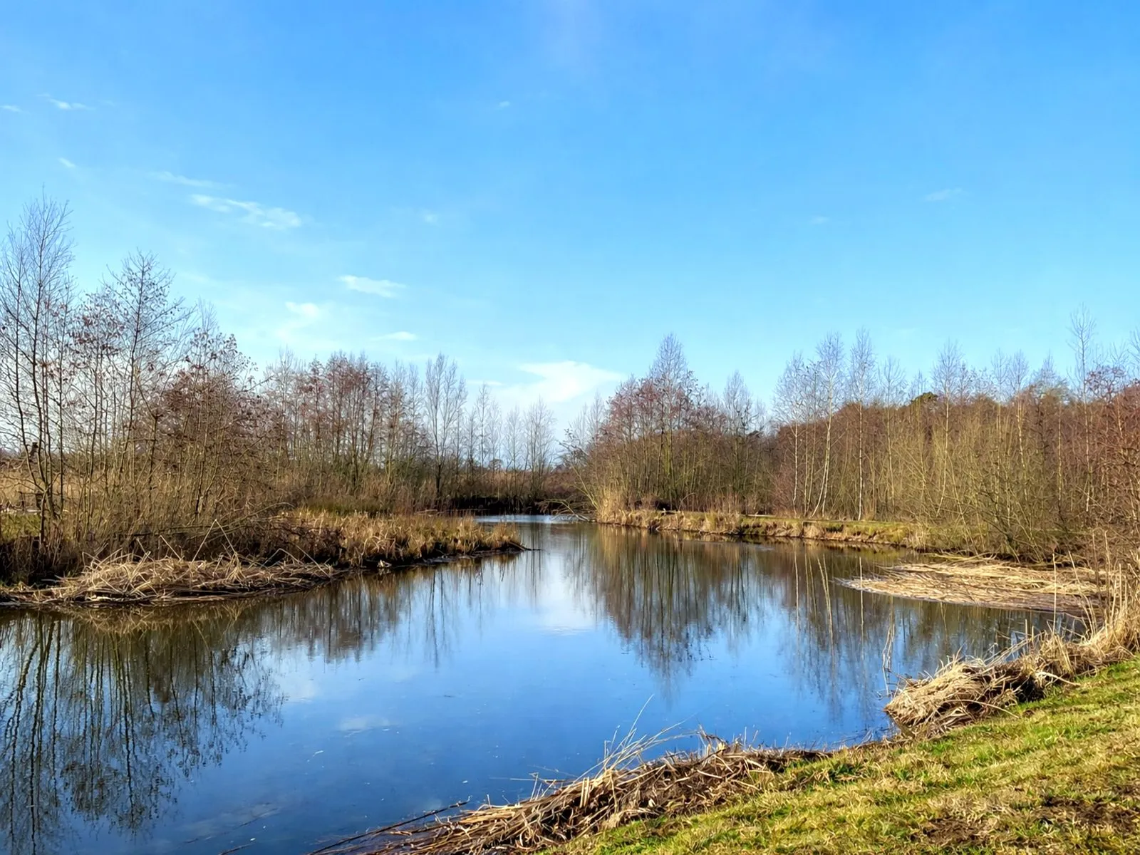 Platvoetsdijk, Borculo