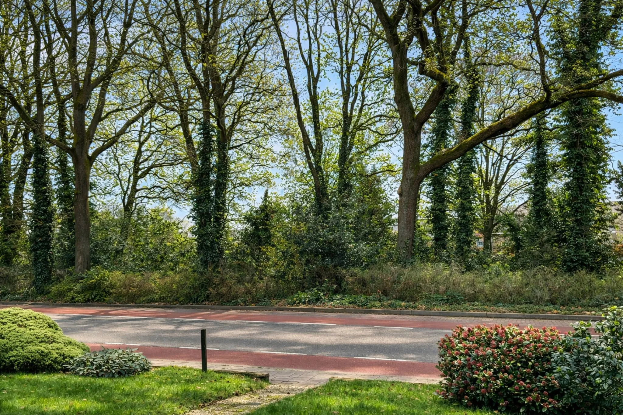 Barchemseweg, Ruurlo