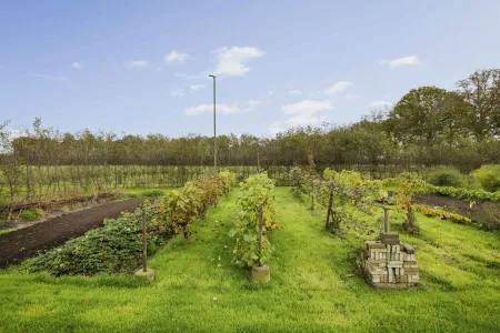 Woonboerderij met kantoor, schuur en uniek voedselbos
